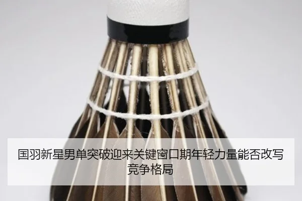 国羽新星男单突破迎来关键窗口期年轻力量能否改写竞争格局